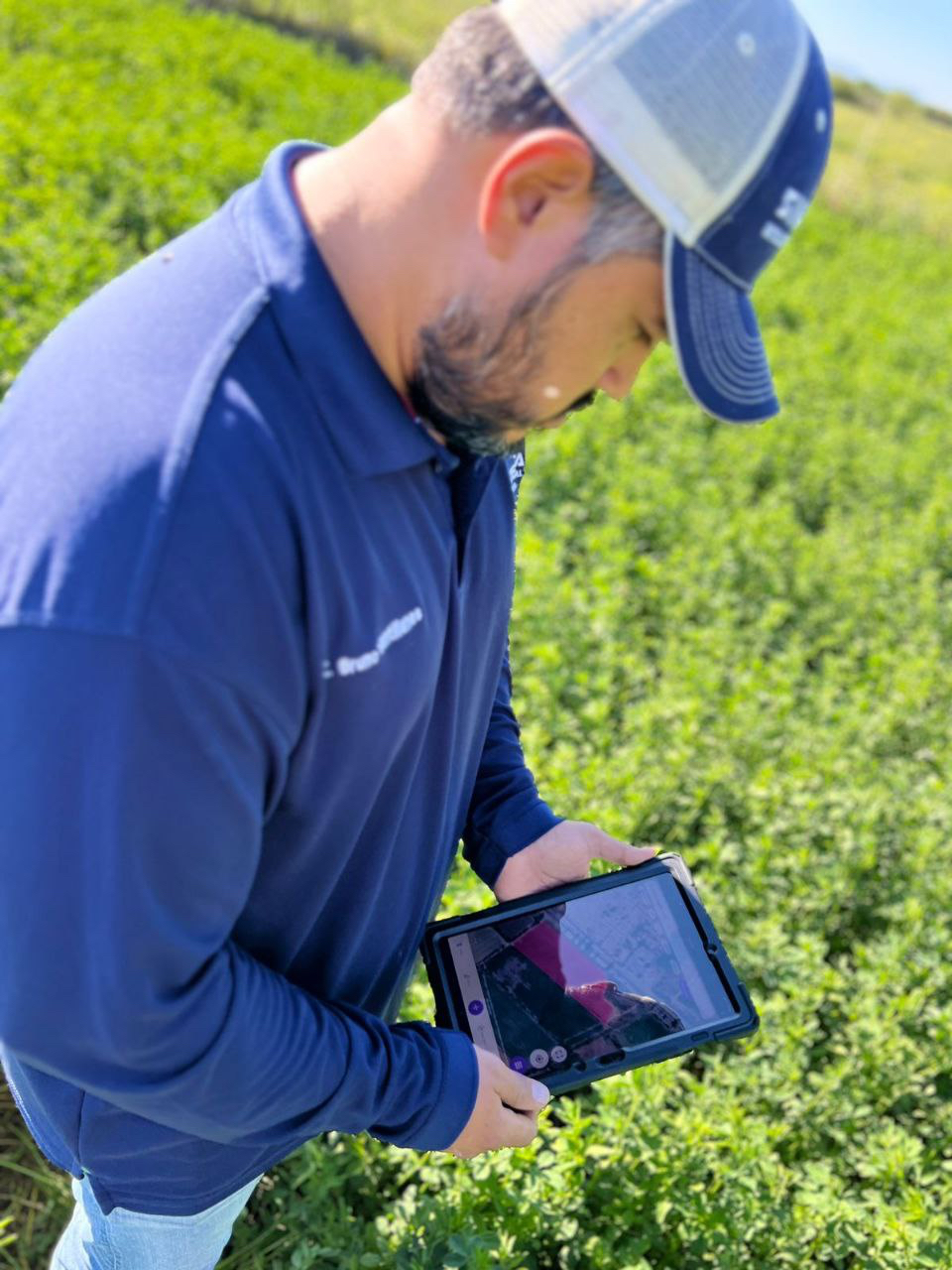 Field engineer inspecting crops